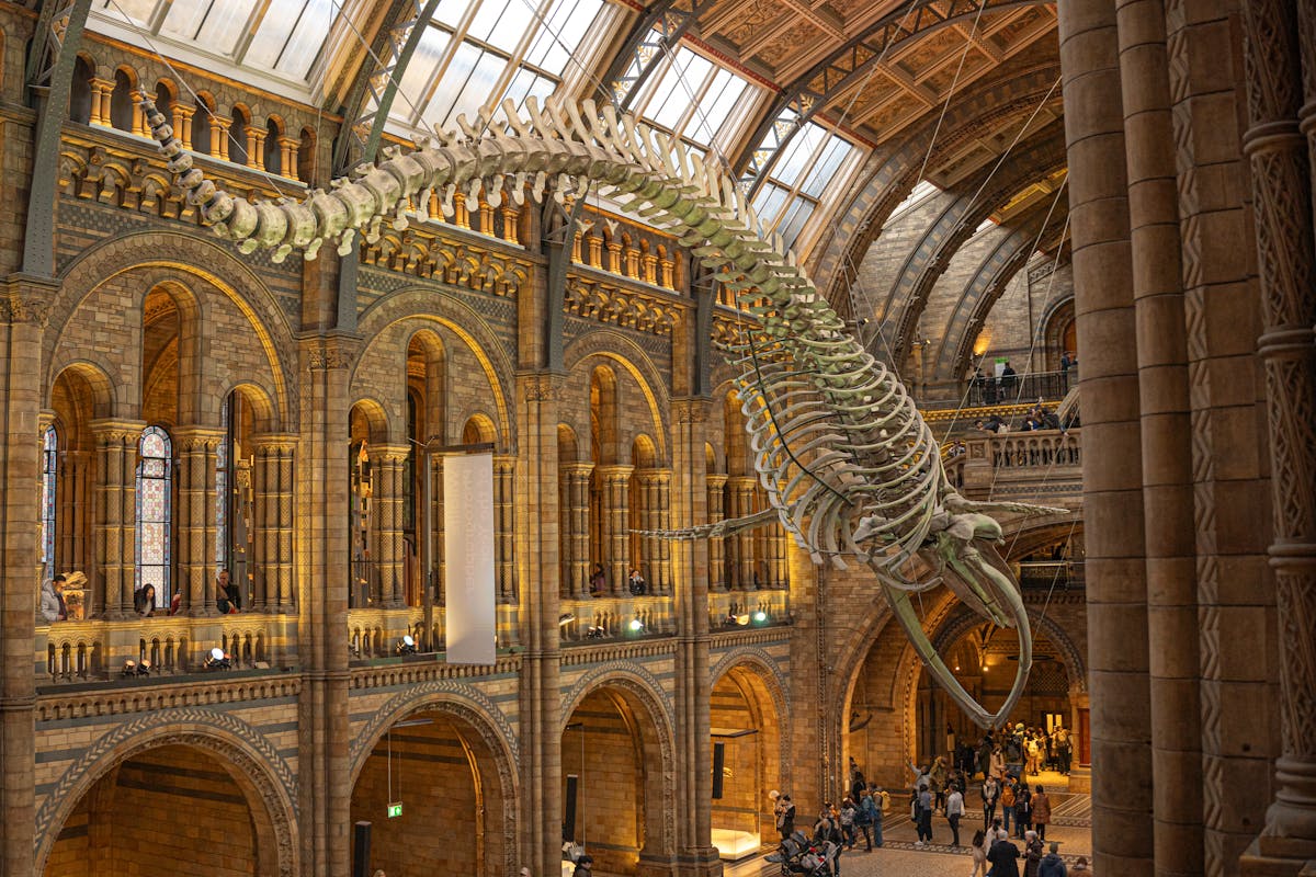 Natural History Museum